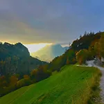 Veitenhof Alm Im Autofreien Kaisertal * Ebbs