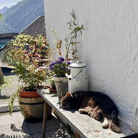 Veitenhof Alm Im Autofreien Kaisertal Mini-hôtel