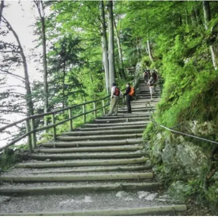 Veitenhof Im Kaisertal, Nur Nach 30 Minuetigem Spaziergang Erreichbar, Only After 30 Minutes Walk Reachable イン エープス