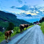 Veitenhof Alm Im Autofreien Kaisertal * Ebbs