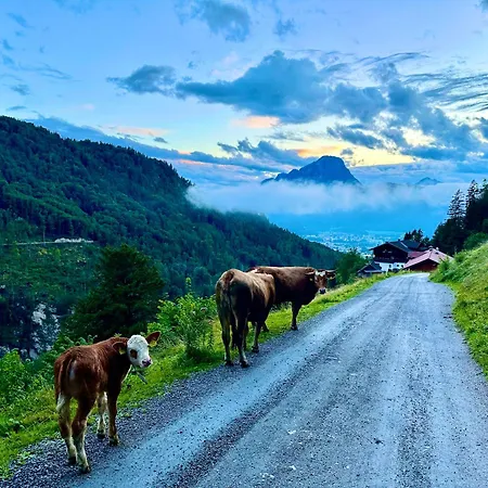 Veitenhof Im Kaisertal, Nur Nach 30 Minuetigem Spaziergang Erreichbar, Only After 30 Minutes Walk Reachable * Ebbs